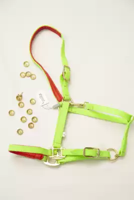 Xinjiang Yili Zanzhis craft supplies (horse scraper-horse dragon head)