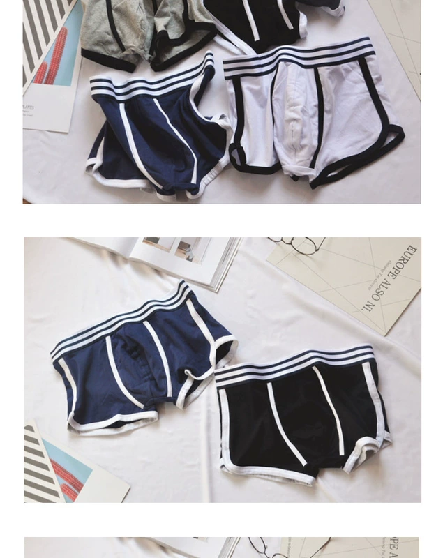 Đồ lót nam 3 tải U quần lửng cotton boxer quần trắng học sinh trẻ thể thao bốn góc quần thoáng khí 衩 thủy triều