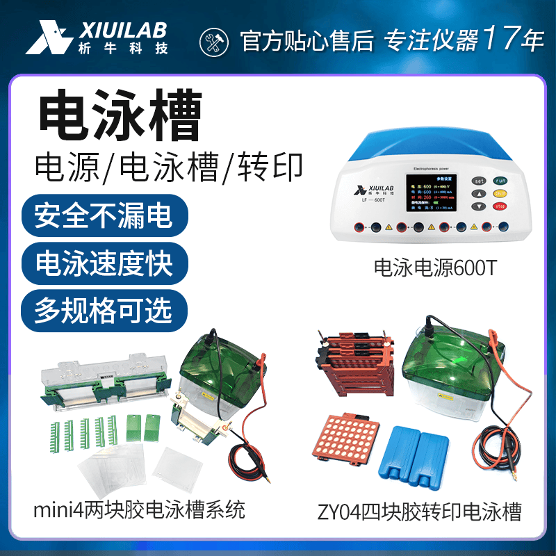 析牛科技垂直水平电泳槽转印槽蛋白槽实验室琼脂糖核酸凝胶电泳仪
