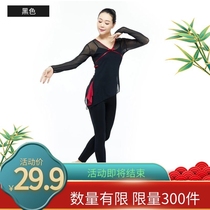 National Dance Classical Dancing Gongfu Long Yarn Clothes Elastic Mesh Yarn Female Upper Clothing Body Rhyme Dance Ballet body