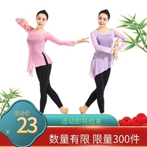 Classical Dance Exercises for adult female dance dress Dance dress Dance Dance Rehearsal for the Elastic Mesh Blouse for the Costume Performance