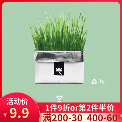 Unstuck Vetreska soilless cultivation cat grass handmade cat grass cat snack spit hair ball vomiting just watering