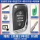 [13 лет спустя] DS Model+Motherboard+Chip