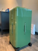 Хвост зеленый