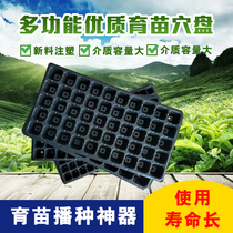 Seedling plate hole plate thickened nutrition bowl Plastic 72 hole plate seedling succulents leaf hole plate thickened seedling hole plate