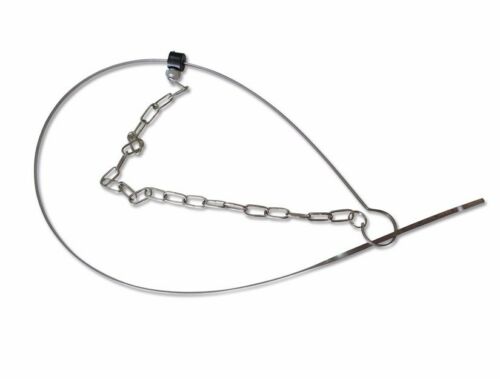 Fox Audi Porsche oil ruler Audi oil measuring tool T40178 Three generations of EA888 private