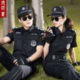 Демисезонный лонгслив с молнией, комплект для отеля для работы