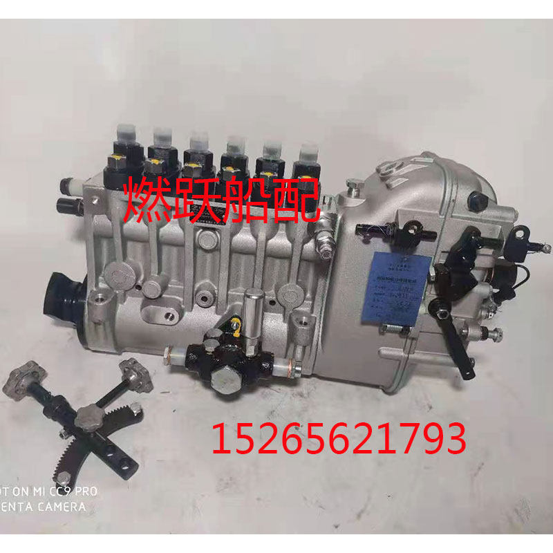 Longku dragon pump Chongqing Weichai 6200 8200 marine injection pump diesel pump assembly of 200 high pressure pump