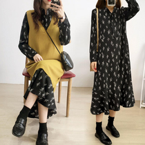 Tide mother pregnant women autumn and winter clothing set Fashion 2020 new spring and autumn coat spring dress pregnant women dress