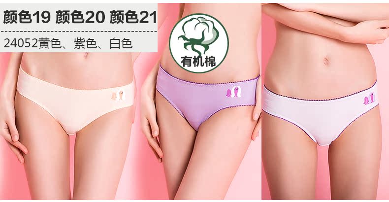 Slip jeunesse GRACE W24039 en coton - Ref 641645 Image 15