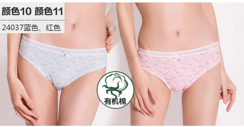 Slip jeunesse GRACE W24039 en coton - Ref 641645 Image 11