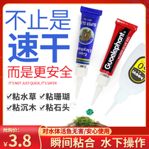 National Elephant Aquatic Gum Moss Glue Grass Fish Tank Landscape Osage Glue Underwater Coral Rock Glue Stone Glue