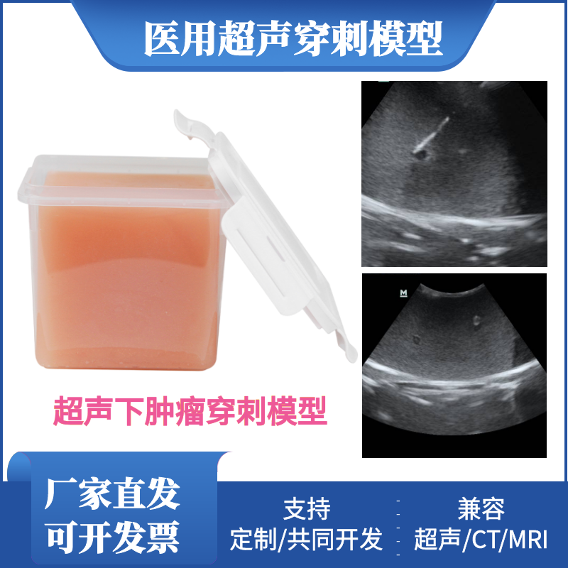 超声引导下穿刺模型肿瘤活检训练教学练习模块b超介入可反复使用