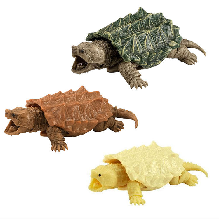 全館免運萬代 扭蛋烏龜仿真生物動物可動系列03 金鱷龜輕白化鱷龜 露天拍賣