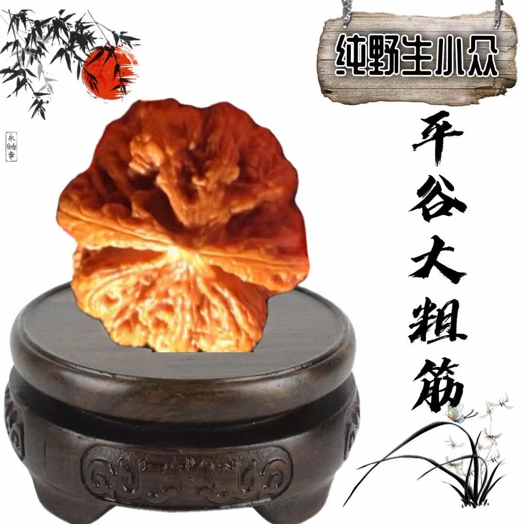 Wild little crowdsourced to play with walnut to play with