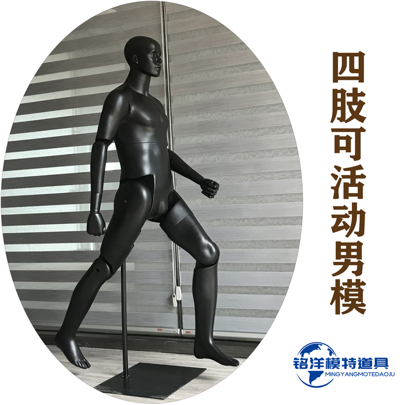 Male Body Model Props Extremities Activity Joints People Table Sports Business Human Body Model Shop Window Clothing Display Racks