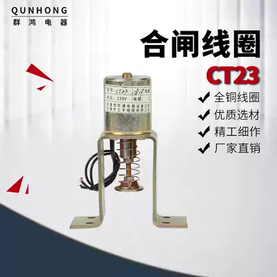 Electromagnet coil CT23 operating mechanism closing coil ZW8-12 opening and closing solenoid Factory Direct