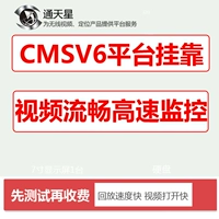Платформа Tongtianxing CMSV6 подвесная ван -удаленная платформа с высоким скоростью видеоролика GPS Platform