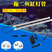 LED24V safety voltage one-to-two diving large special lights anti-aquarium waterproof fish tank aquatic plants amphibious