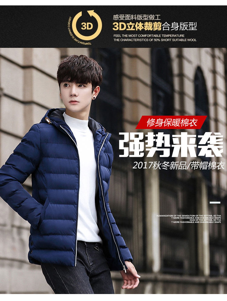 Blouson chaud pour homme      en Polyester - Ref 3112559 Image 10