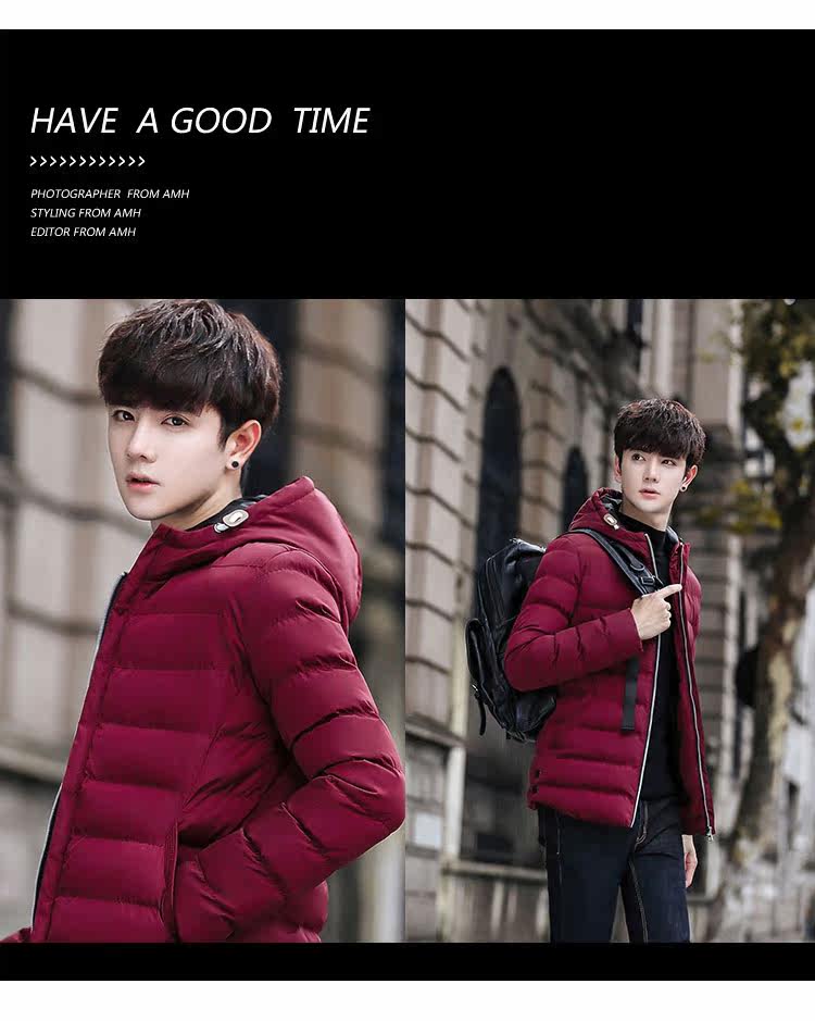 Blouson chaud pour homme      en Polyester - Ref 3112559 Image 23