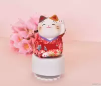 Красная музыкальная шкатулка, котенок