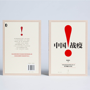 中国战疫！