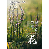 The beauty (flower) at your feet