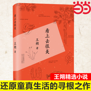 看上去很美 当当网 文学小说 情感小说中国现当代文学经典 现当代文学书籍畅销书排行榜 王朔著