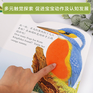 亮丽精美触摸书：小水獭奥斯卡