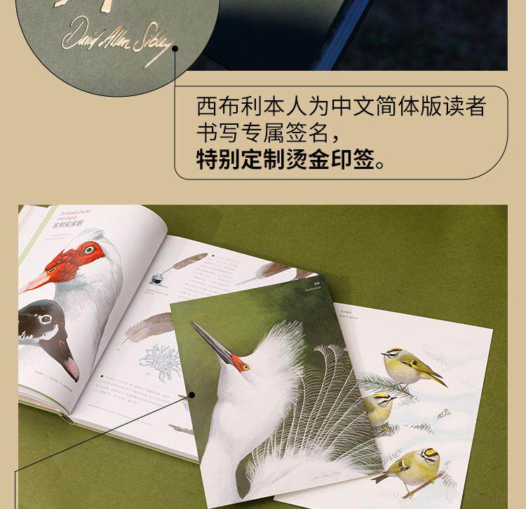 Птица 当当网 何以为鸟：西布利的鸟类世界 赠烫金印签2张大装裱画  观鸟手册鸟类常识入门鸟类辨别指南鸟类画册科普书籍 正版书籍