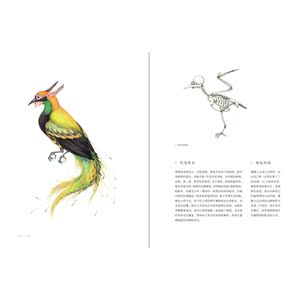 奇兽：山海经动物图鉴Ⅰ