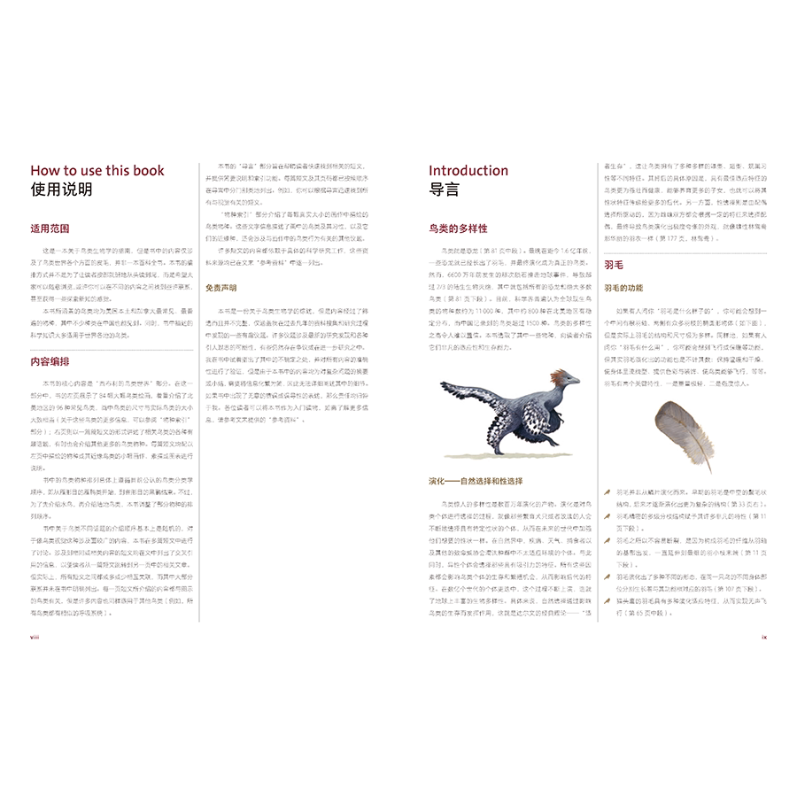 Птица 当当网 何以为鸟：西布利的鸟类世界 赠烫金印签2张大装裱画  观鸟手册鸟类常识入门鸟类辨别指南鸟类画册科普书籍 正版书籍