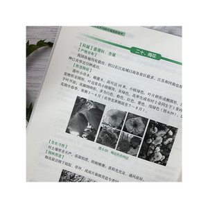 园林花卉与树木育苗新技术