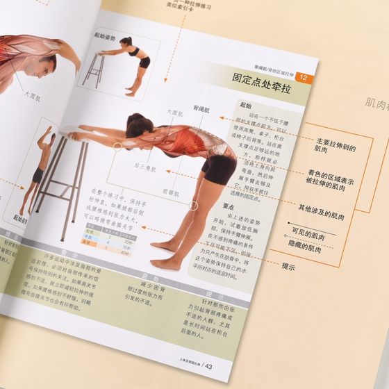 Dangdang.com Stretching Training Color Atlas [Western] Guillermo Seijas Albir (Guillermo Seijas People's Posts and Telecommunications Publishing House genuine book