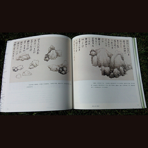 龚贤山水画（精编版）——名家课徒稿临本