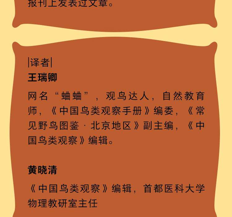 Птица 当当网 鸟类：一切为瞭飞行 观鸟爱好者鸟类学入门读物鸟类演化史中国鸟类观察鸟类观察宝典鸟类生物学自然科普书籍 正版书籍