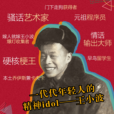 【当当网 正版书籍】一只特立独行的猪 有趣 独立 反对假正经 读王小波的&ldquo;入坑之选&rdquo;
