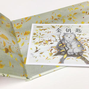 海豚绘本花园：金钥匙（精）