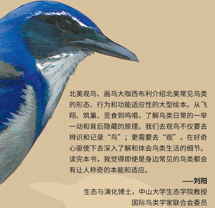 Птица 当当网 何以为鸟：西布利的鸟类世界 赠烫金印签2张大装裱画  观鸟手册鸟类常识入门鸟类辨别指南鸟类画册科普书籍 正版书籍