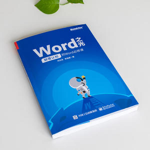 【当当网 正版书籍】Word之光：颠覆认知的Word必修课