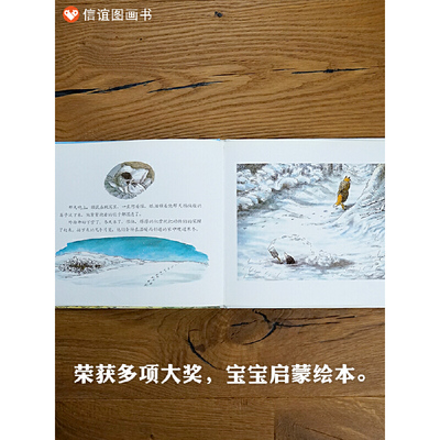 信谊世界精选图画书-獾的礼物
