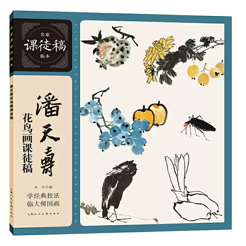 潘天壽花鳥畫課徒稿名家課徒稿臨本中國水墨花鳥花卉蔬果鳥蟲國畫畫法