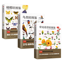 Light Illustrated Book of Butterflies Light Illustrated Book of Birds Light Illustrated Book of Common Flowers and Plants (all three volumes)