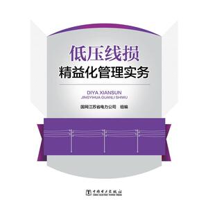 低压线损精益化管理实务