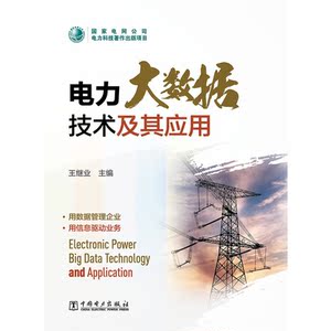 电力大数据技术及其应用