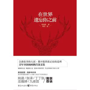 在世界遗忘你之前