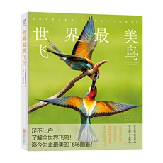 Птица 世界*美飞鸟