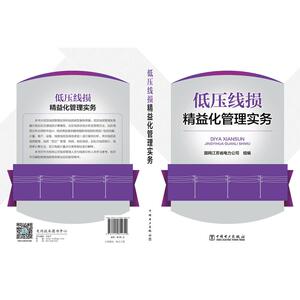 低压线损精益化管理实务