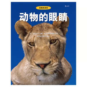 动物的眼睛